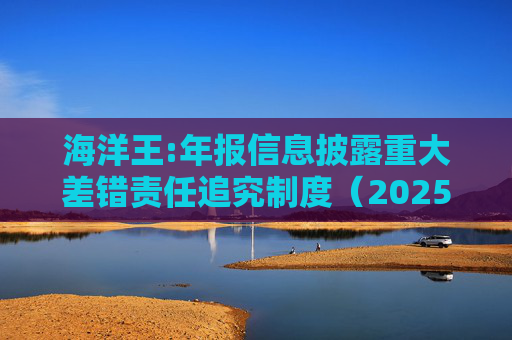 海洋王:年报信息披露重大差错责任追究制度（2025年12月）