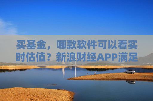 买基金，哪款软件可以看实时估值？新浪财经APP满足你的投资需求  第1张