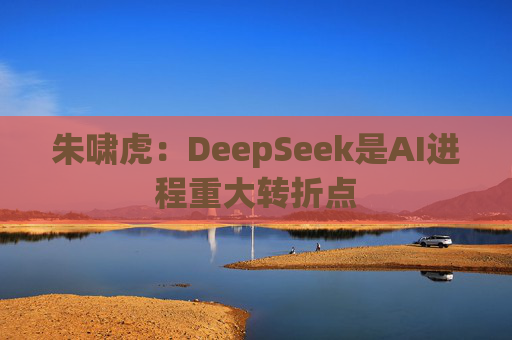朱啸虎：DeepSeek是AI进程重大转折点