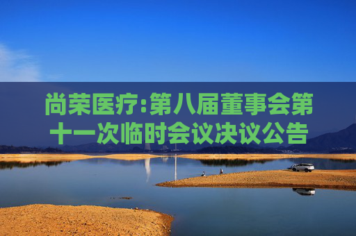 尚荣医疗:第八届董事会第十一次临时会议决议公告