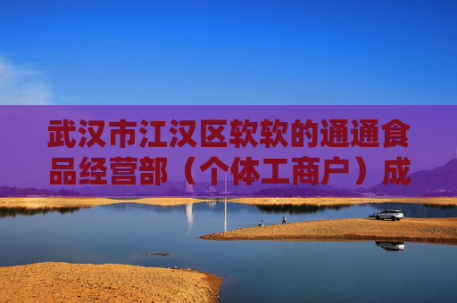武汉市江汉区软软的通通食品经营部（个体工商户）成立 注册资本3万人民币  第1张
