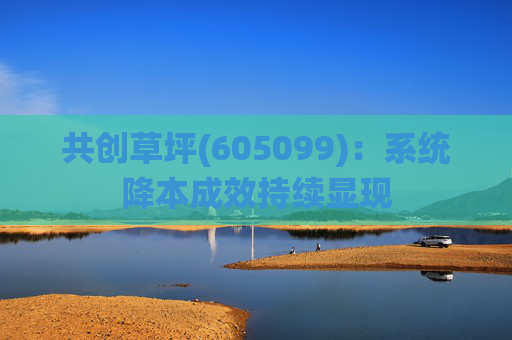 共创草坪(605099)：系统降本成效持续显现