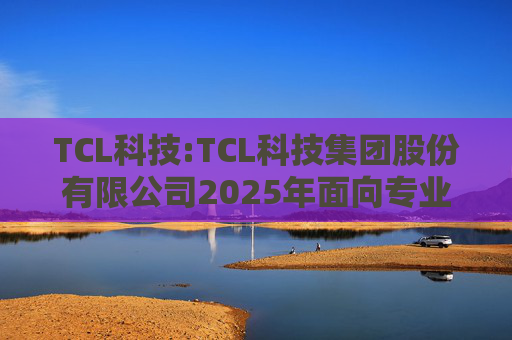 TCL科技:TCL科技集团股份有限公司2025年面向专业投资者公开发行科技创新公司债券（数字经济）（第一期）发行公告