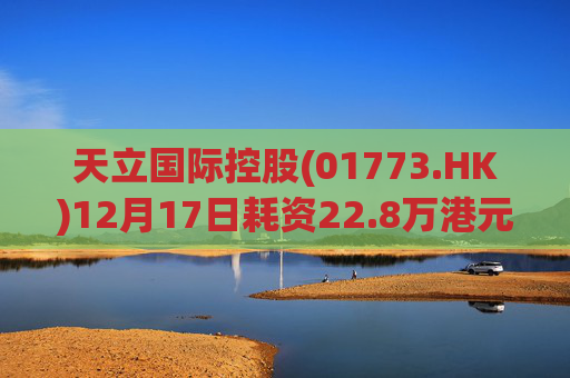 天立国际控股(01773.HK)12月17日耗资22.8万港元回购10万股