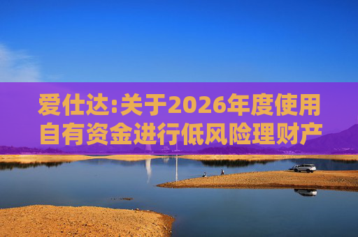 爱仕达:关于2026年度使用自有资金进行低风险理财产品投资的公告  第1张