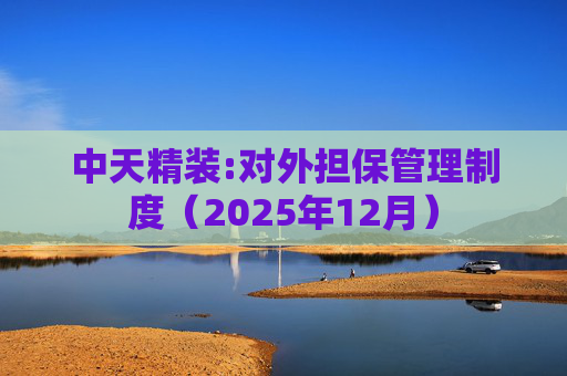 中天精装:对外担保管理制度（2025年12月）