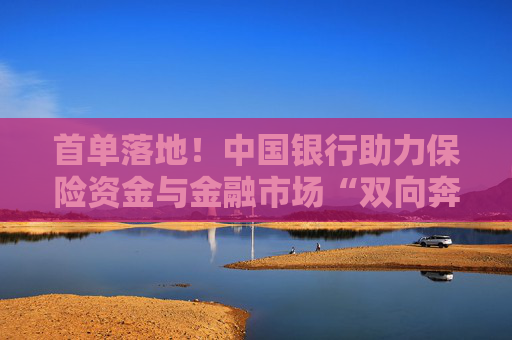 首单落地！中国银行助力保险资金与金融市场“双向奔赴”  第1张