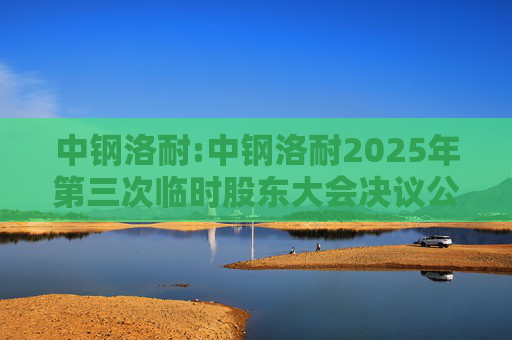 中钢洛耐:中钢洛耐2025年第三次临时股东大会决议公告  第1张