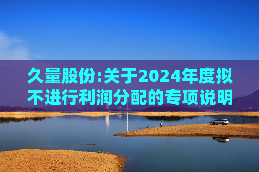 久量股份:关于2024年度拟不进行利润分配的专项说明