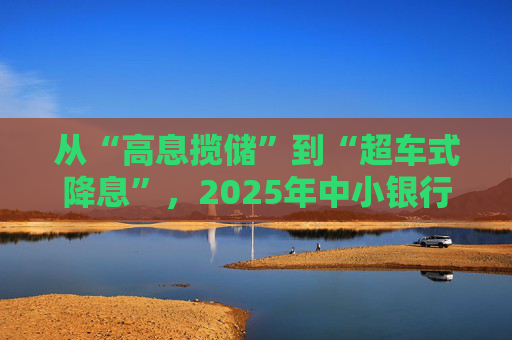 从“高息揽储”到“超车式降息”，2025年中小银行大幅下调存款利率｜2025中国经济年报
