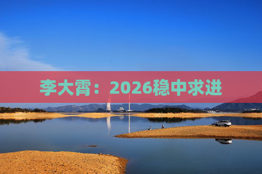 李大霄：2026稳中求进