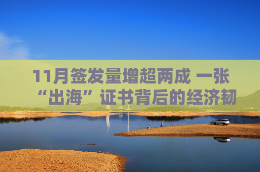 11月签发量增超两成 一张“出海”证书背后的经济韧性