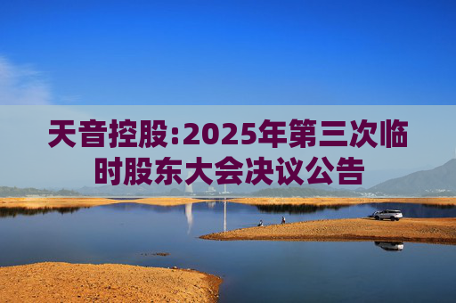 天音控股:2025年第三次临时股东大会决议公告
