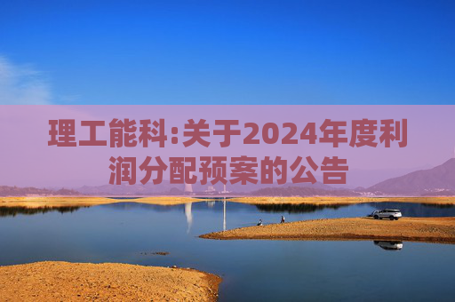 理工能科:关于2024年度利润分配预案的公告
