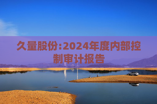 久量股份:2024年度内部控制审计报告  第1张
