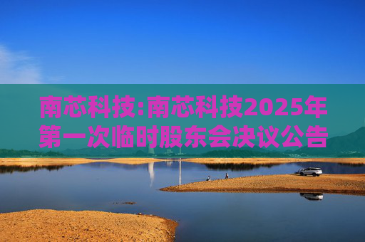南芯科技:南芯科技2025年第一次临时股东会决议公告