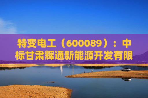特变电工（600089）：中标甘肃辉通新能源开发有限公司采购项目，中标金额为3305.00万元