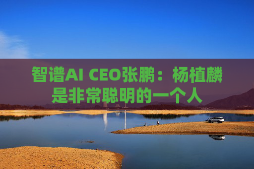 智谱AI CEO张鹏：杨植麟是非常聪明的一个人