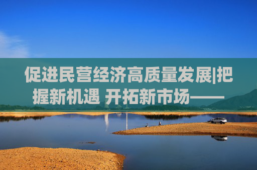 促进民营经济高质量发展|把握新机遇 开拓新市场——民营企业发展活力持续激发