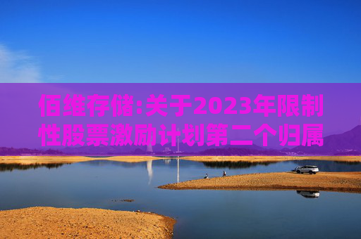 佰维存储:关于2023年限制性股票激励计划第二个归属期（第二批次）、2024年限制性股票激励计划首次授予第一个归属期（第二批次）归属结果暨股份上市的公告