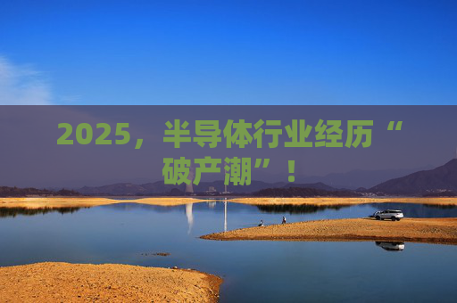 2025，半导体行业经历“破产潮”！