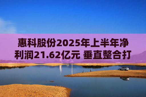 惠科股份2025年上半年净利润21.62亿元 垂直整合打造显示产业全链条优势