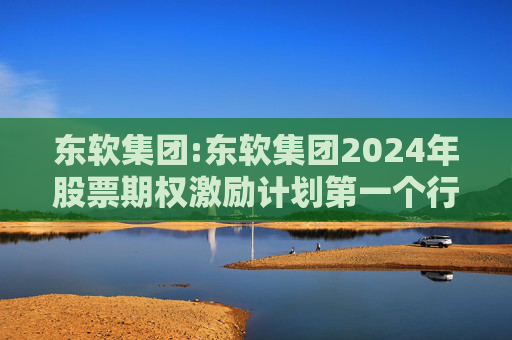 东软集团:东软集团2024年股票期权激励计划第一个行权期2025年第四季度自主行权结果暨股份变动的公告