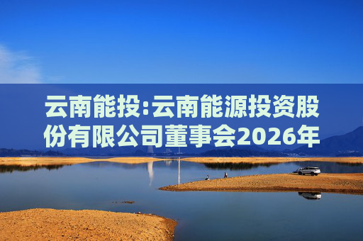 云南能投:云南能源投资股份有限公司董事会2026年第一次临时会议决议公告