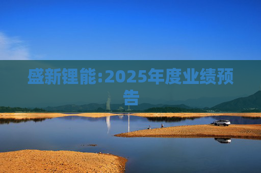 盛新锂能:2025年度业绩预告
