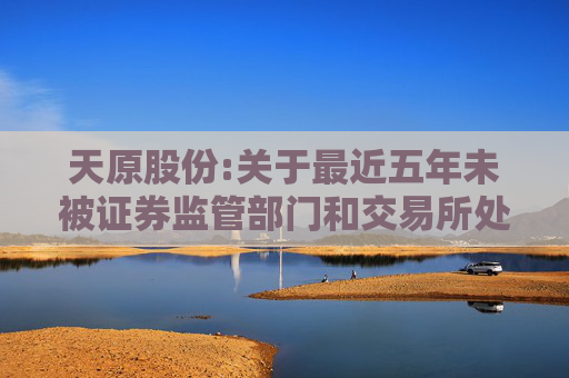 天原股份:关于最近五年未被证券监管部门和交易所处罚或采取监管措施的公告