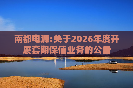 南都电源:关于2026年度开展套期保值业务的公告