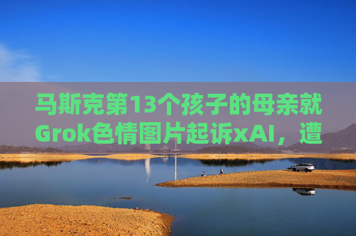 马斯克第13个孩子的母亲就Grok色情图片起诉xAI，遭后者反诉