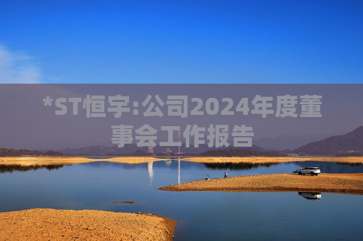 *ST恒宇:公司2024年度董事会工作报告