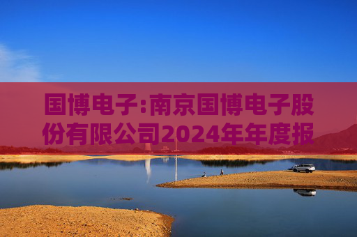 国博电子:南京国博电子股份有限公司2024年年度报告