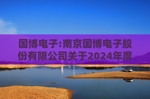 国博电子:南京国博电子股份有限公司关于2024年度募集资金存放与使用情况的专项报告