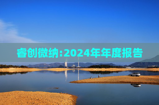 睿创微纳:2024年年度报告