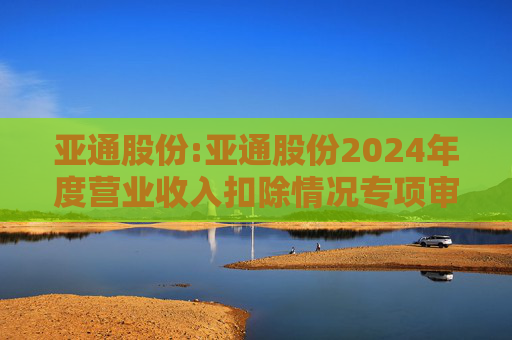 亚通股份:亚通股份2024年度营业收入扣除情况专项审核意见  第1张