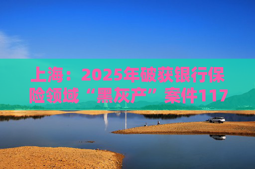 上海：2025年破获银行保险领域“黑灰产”案件117起 持续净化金融生态