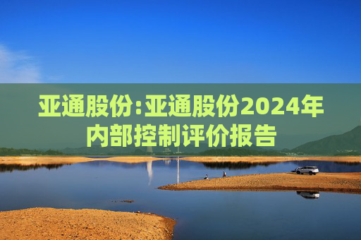 亚通股份:亚通股份2024年内部控制评价报告