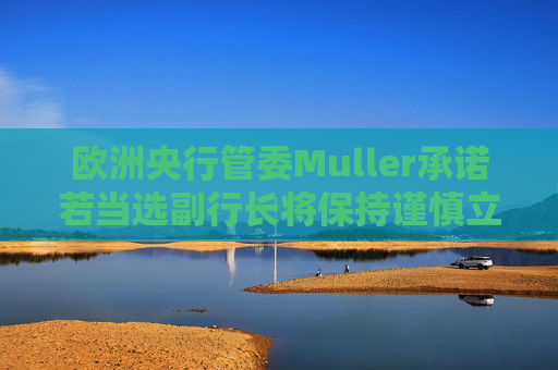 欧洲央行管委Muller承诺若当选副行长将保持谨慎立场  第1张