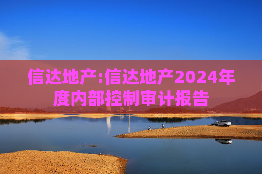 信达地产:信达地产2024年度内部控制审计报告