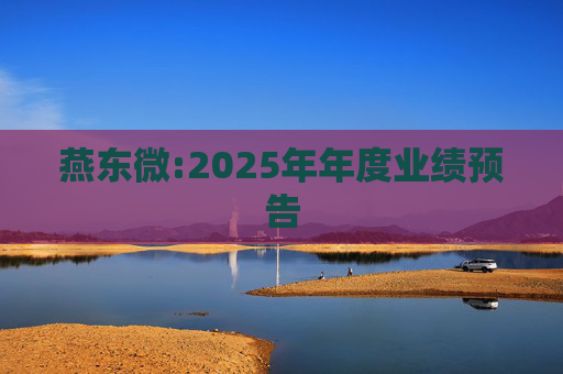 燕东微:2025年年度业绩预告
