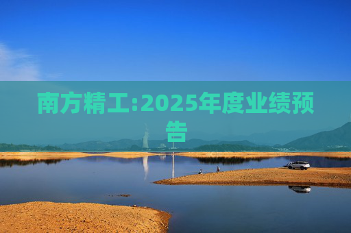 南方精工:2025年度业绩预告