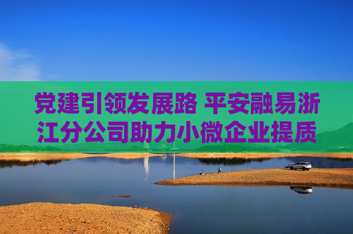党建引领发展路 平安融易浙江分公司助力小微企业提质增效