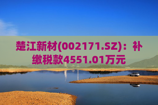 楚江新材(002171.SZ)：补缴税款4551.01万元