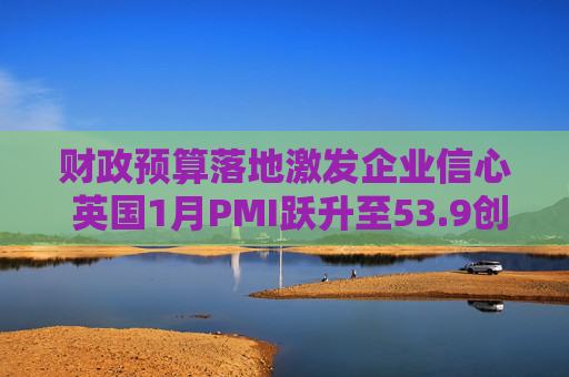 财政预算落地激发企业信心 英国1月PMI跃升至53.9创21个月新高  第1张