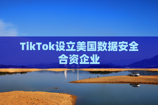 TikTok设立美国数据安全合资企业