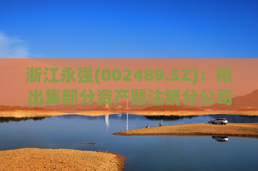 浙江永强(002489.SZ)：拟出售部分资产暨注销分公司