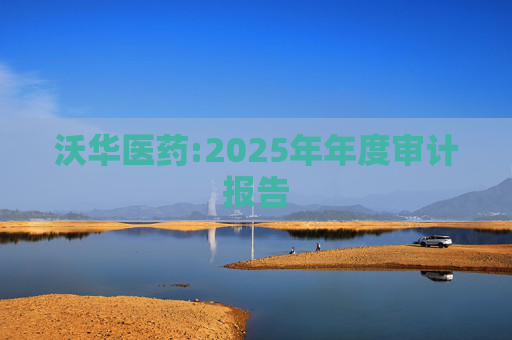 沃华医药:2025年年度审计报告
