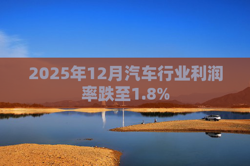 2025年12月汽车行业利润率跌至1.8%